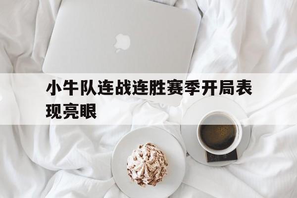 小牛队连战连胜赛季开局表现亮眼吗