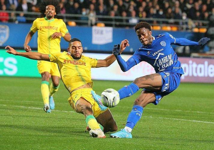 雷恩主场击败南特，保持胜利势头的简单介绍